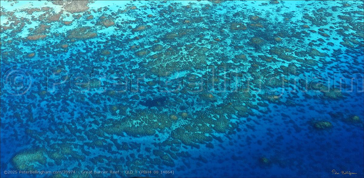 Peter Bellingham Photography Great Barrier Reef - QLD T (PBH4 00 14864)
